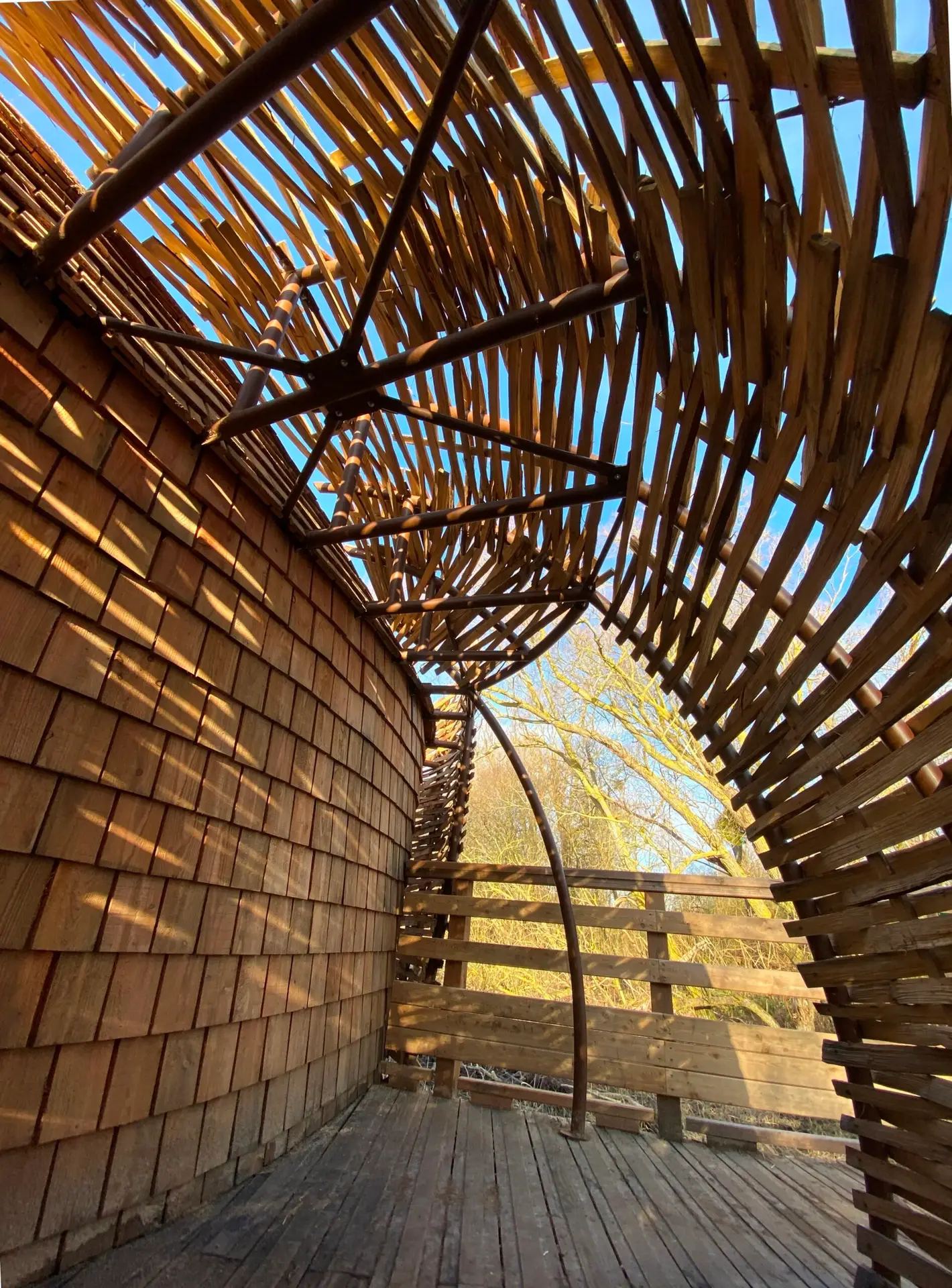 Architecture en bois durable