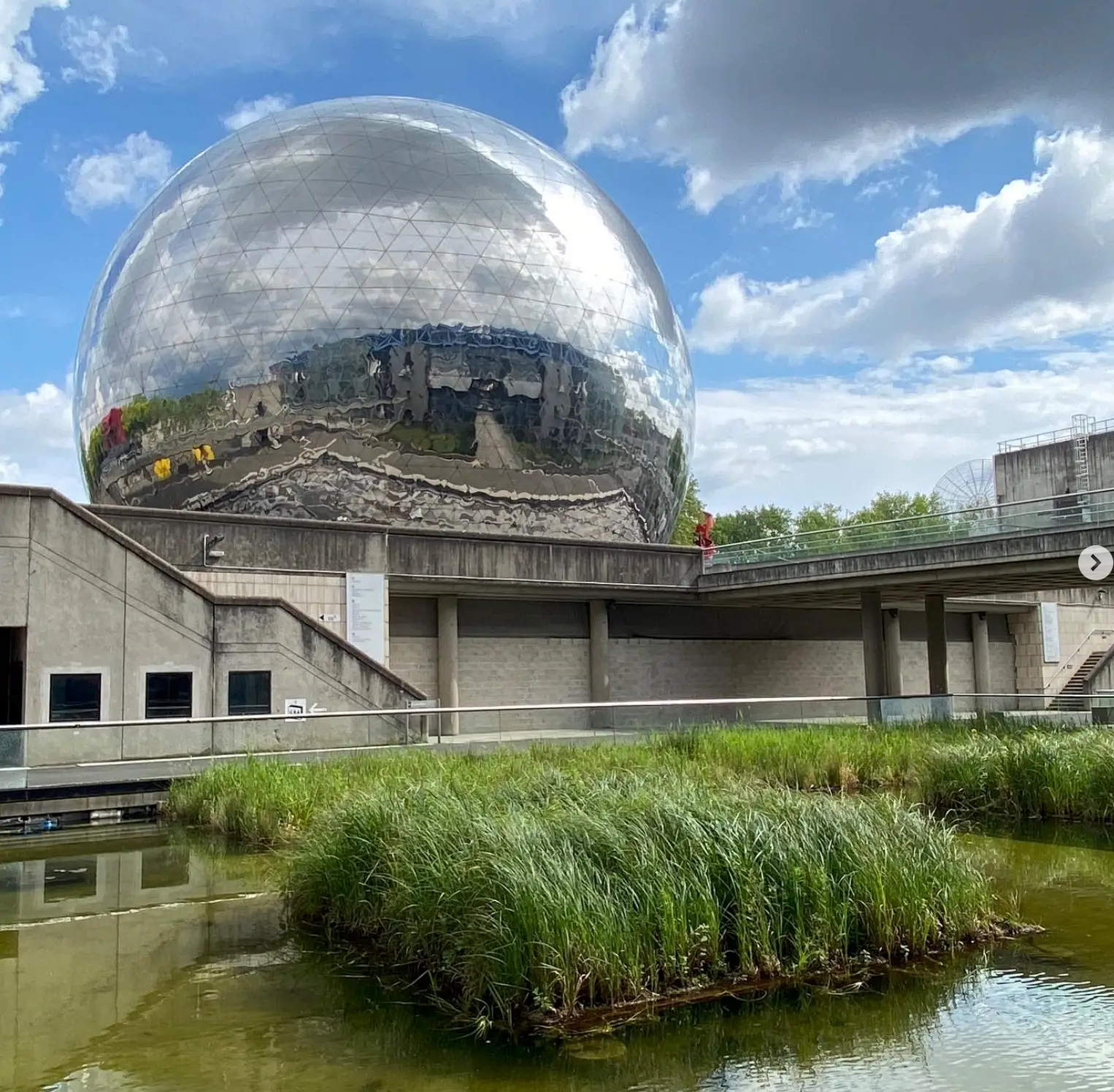 Aménagement végétale dans un environnement humide