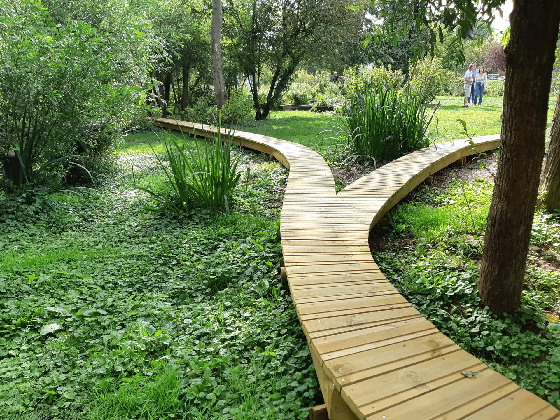 Passerelle en bois