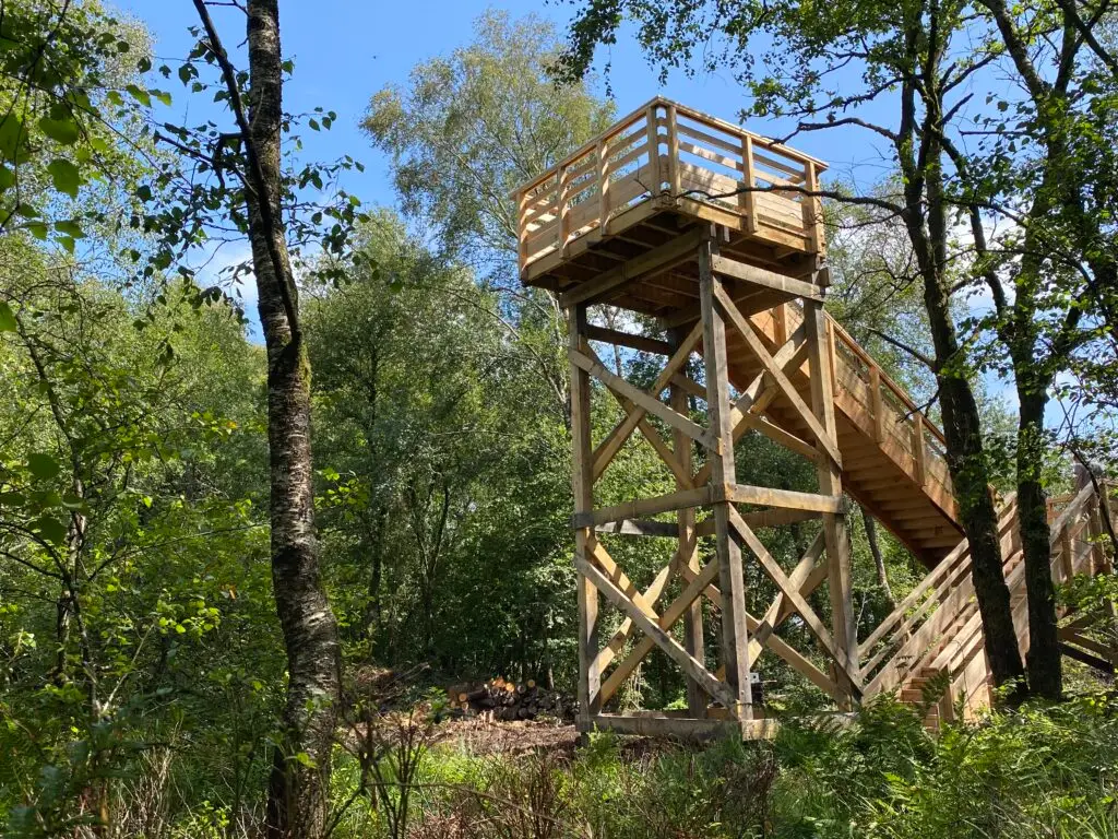 Point d'observation en bois