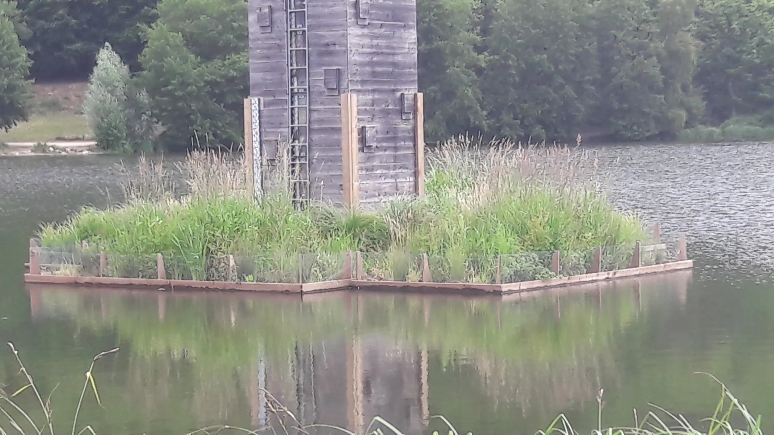 Photo de radeau végétalisé sur mesure