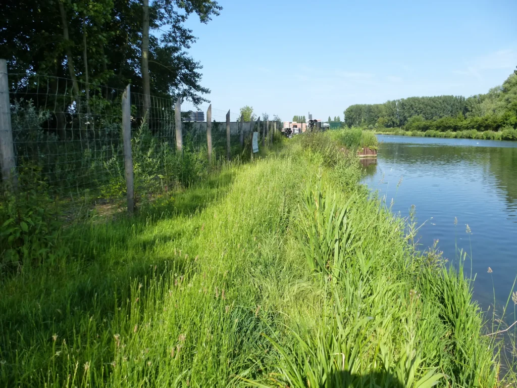 Photo de Systemes pre-vegetalies pour renaturation de berges