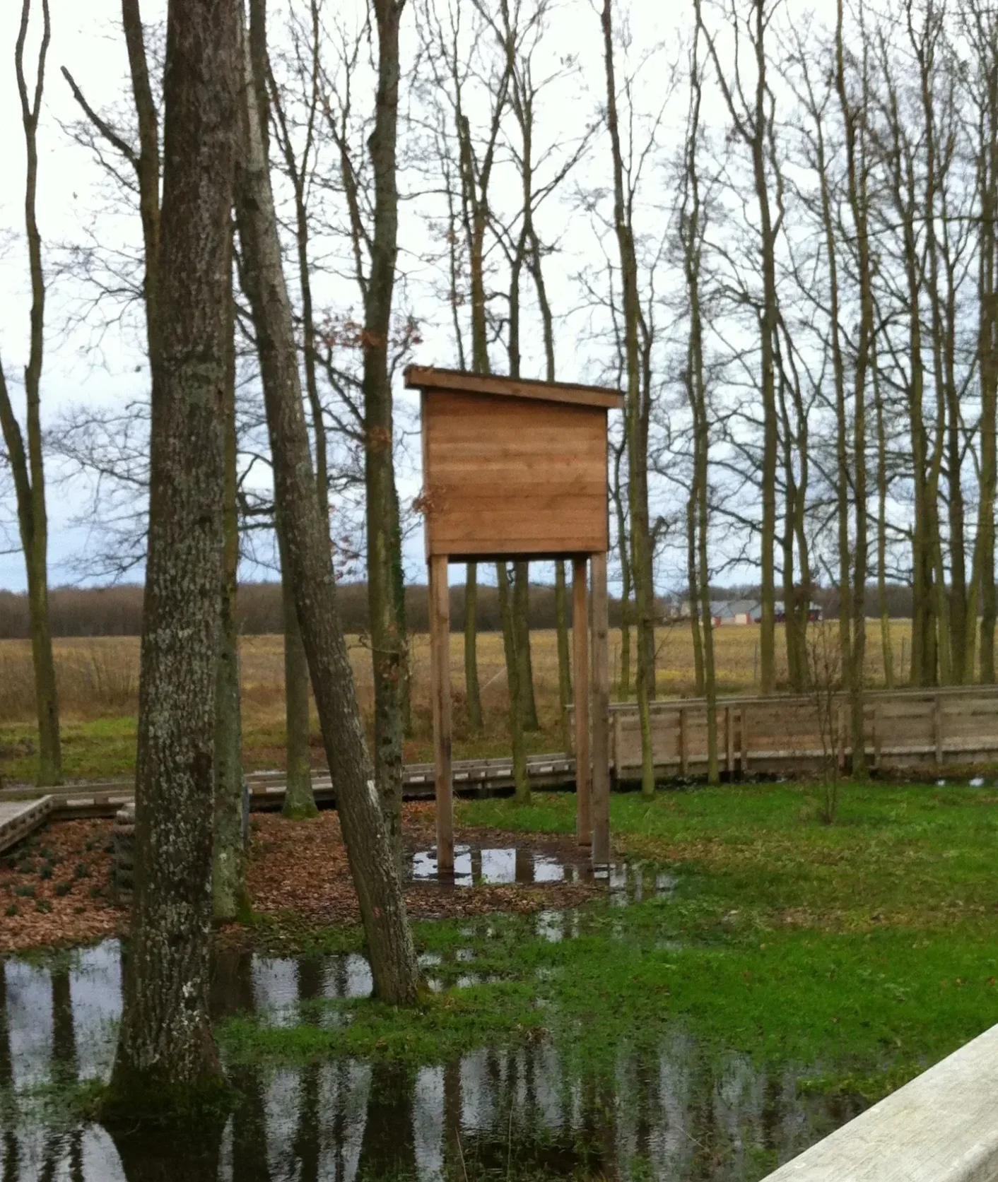 Photo de tour de reproduction de chiroptères