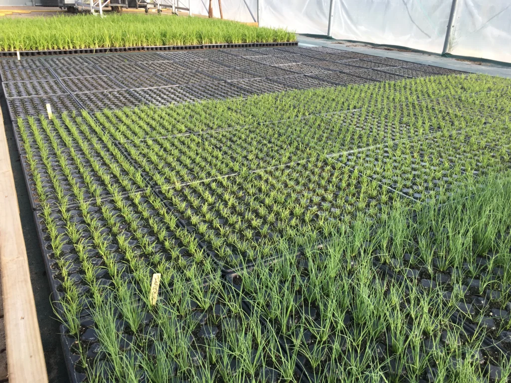 Environnement de production labélisé de Marcanterra