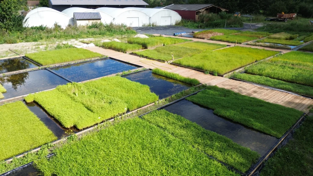 Environnement de production de Marcanterra