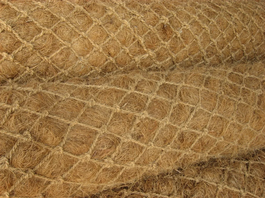 Boudins coco avant végétalisation