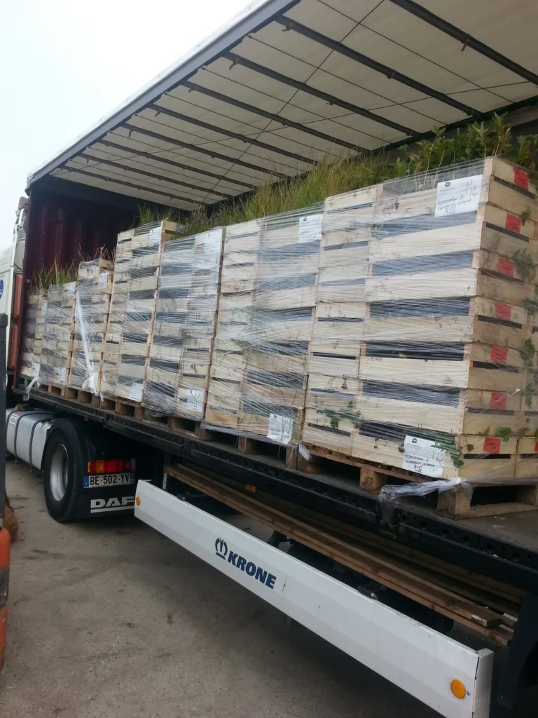 Transport de plantes hélophytes