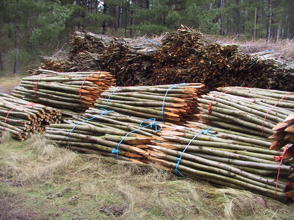 Colisage de pieux ronds et de fagots de fascines
