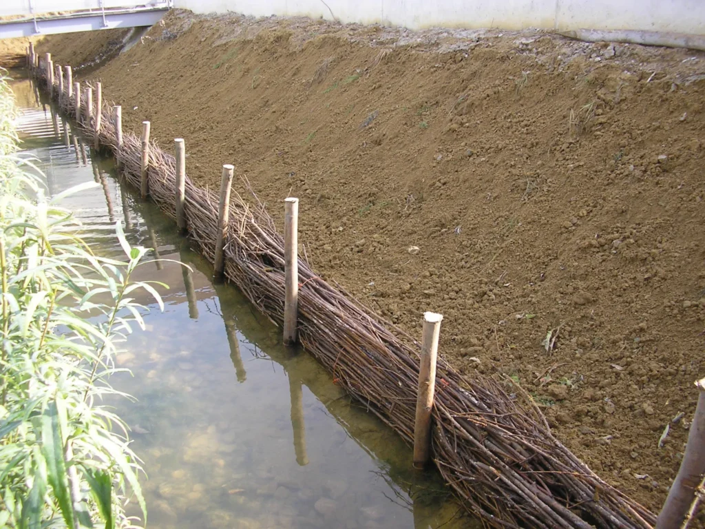 Pose de fascines pour la stabilisation des berges