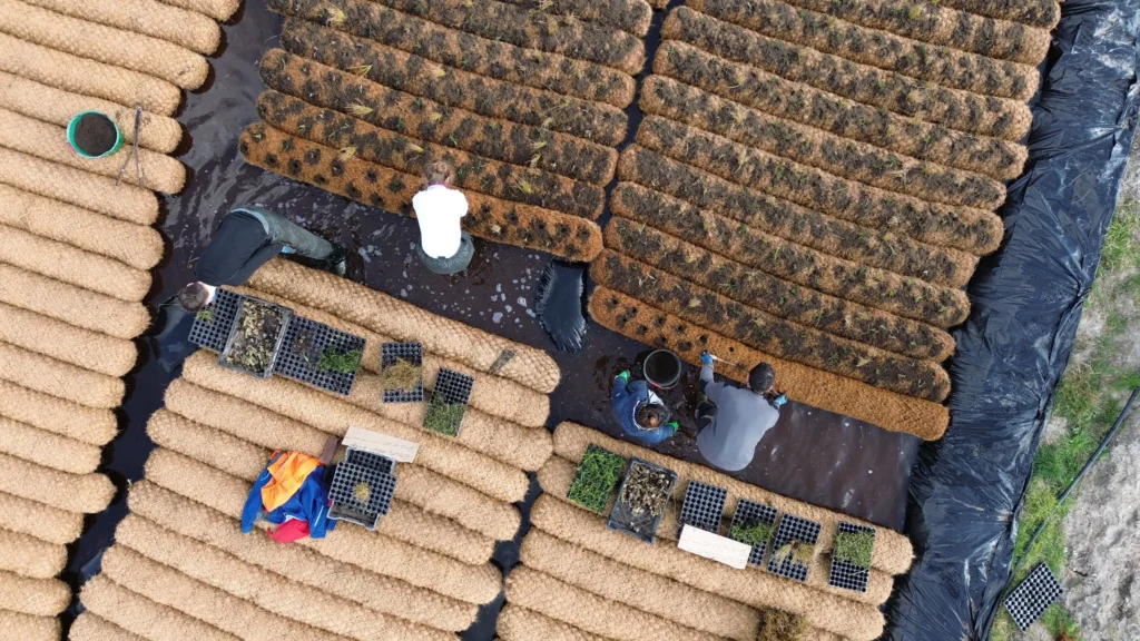 Réalisation de boudins pré-végétalisés