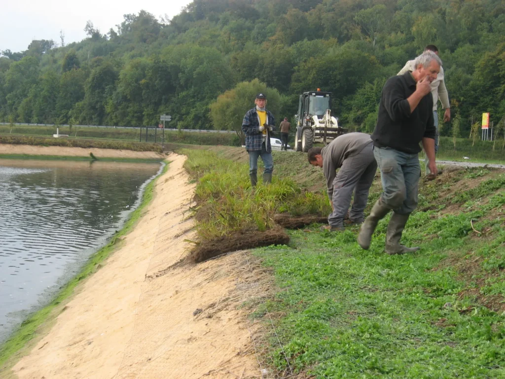 Mise en place de natte pré végétalisée