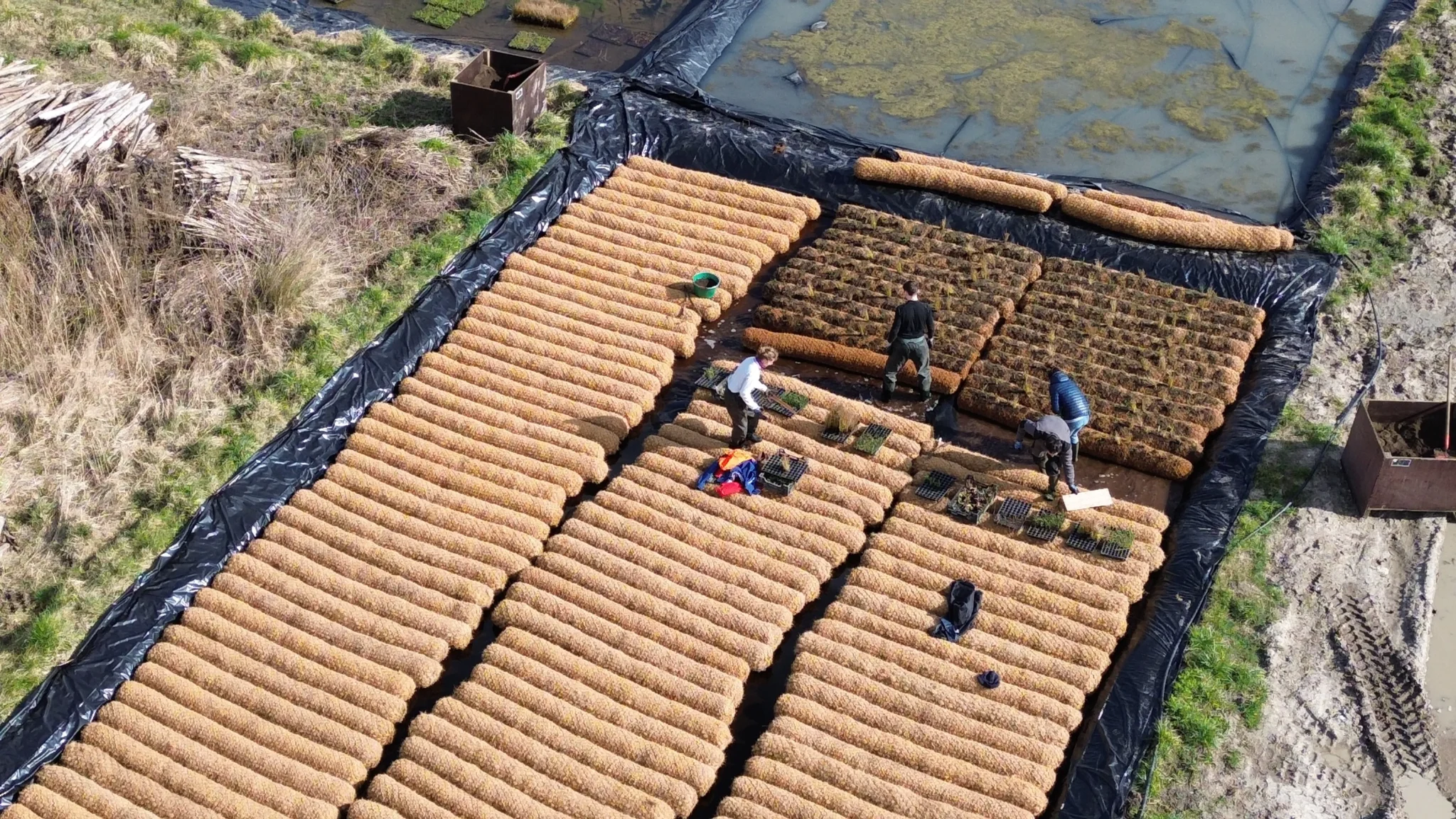 Réalisation de boudins pré-végétalisés