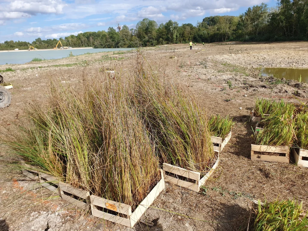 Livraison de godets sur le chantier