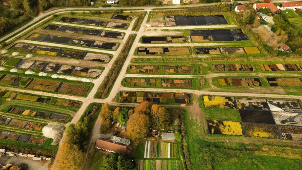 Vue aérienne de l’ensemble de nos bassins de culture