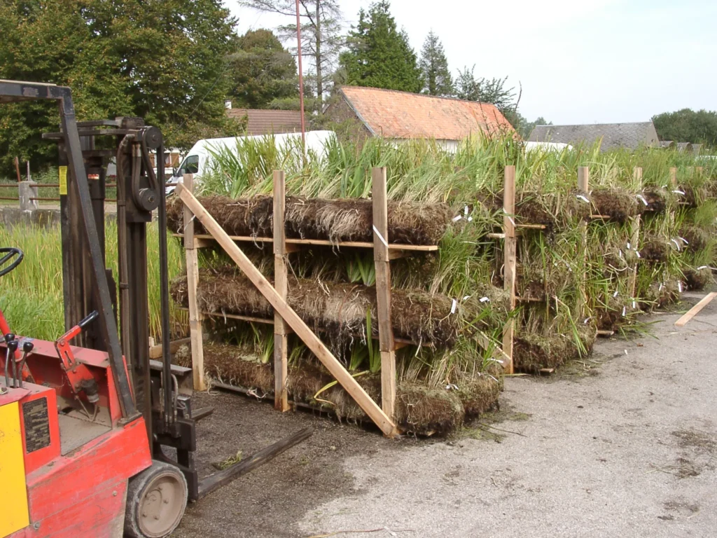 Palettisation des boudins coco pré-végétalisés